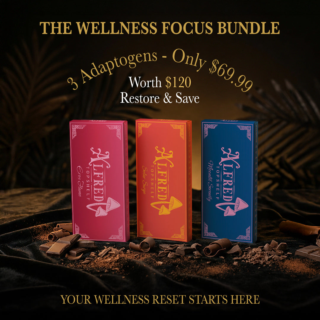 The Wellness Focus